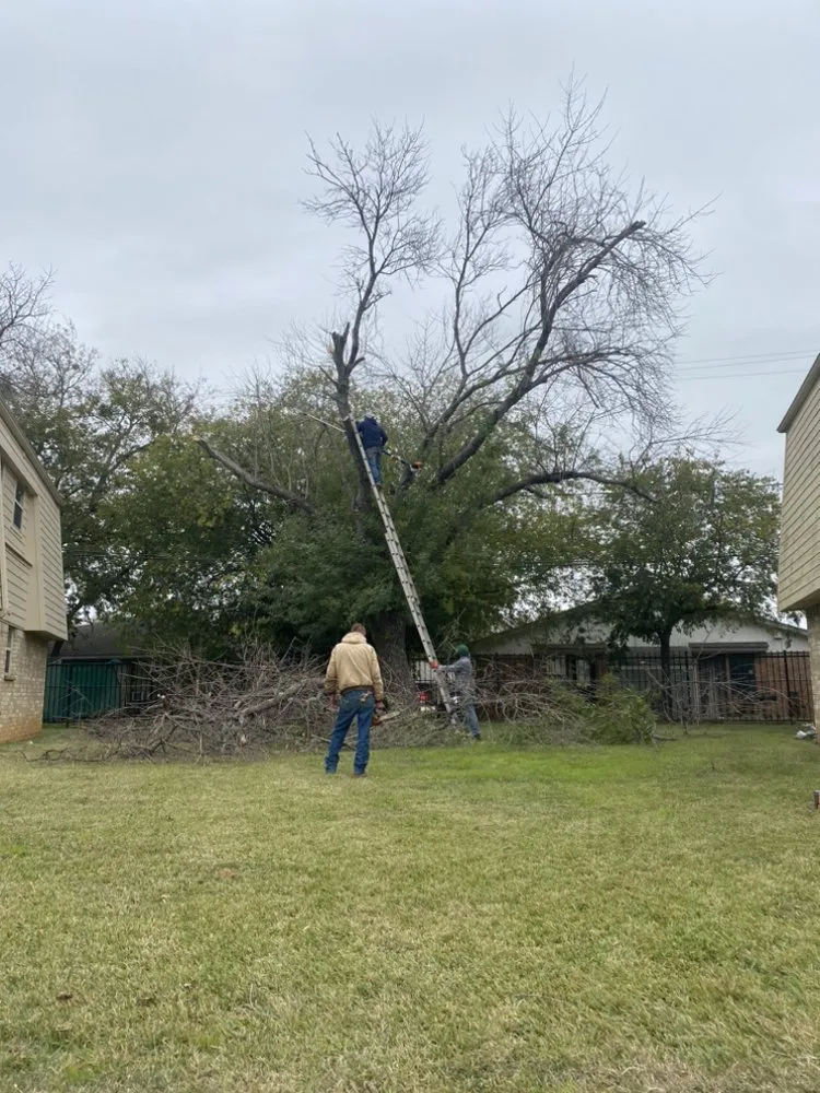 Custom lawn mowing service near you in Kopperl, TX by Flowers Lawncare And Landscaping