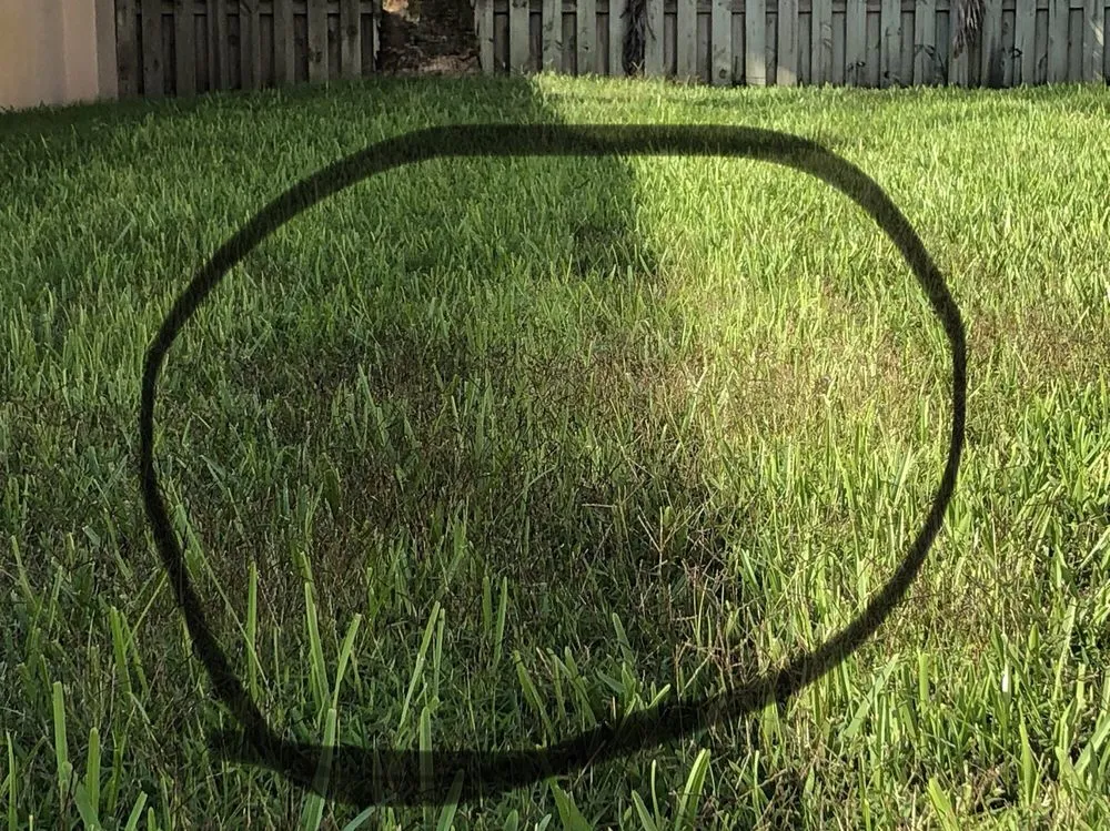 Top-rated lawn care service in Melbourne, FL - Flowers Turf and Pest Management