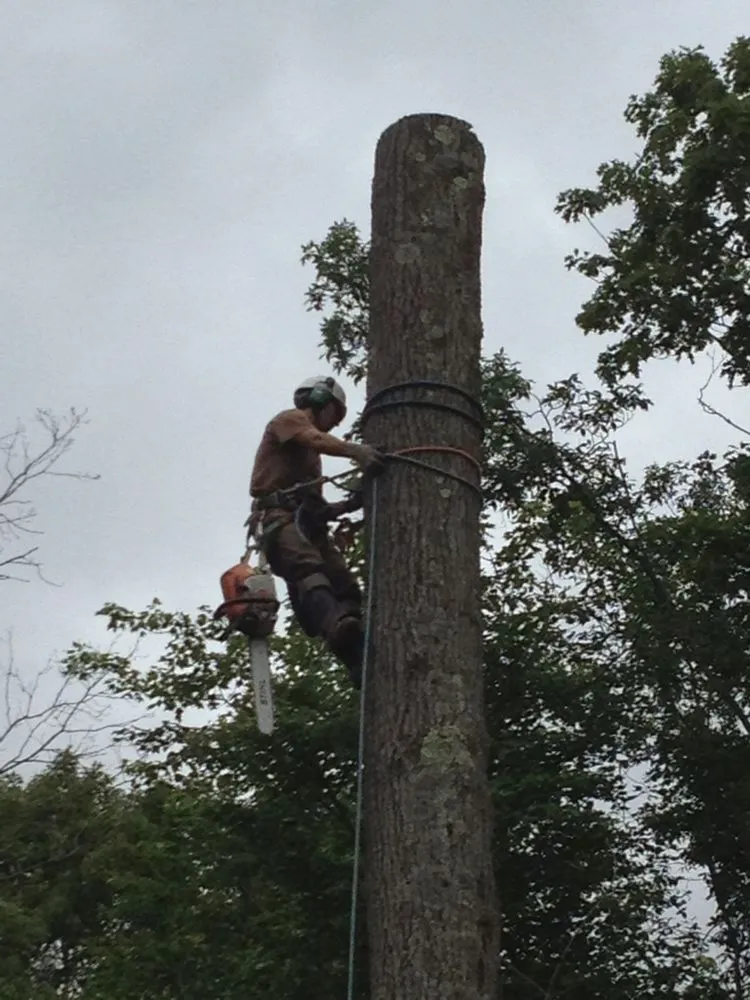 Affordable yard maintenance for homes in Roosevelt, NY by Flowerson and Fam Tree Service