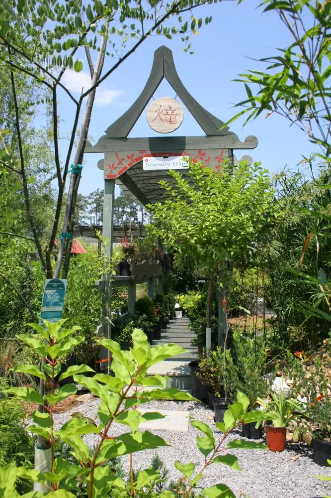 Affordable yard maintenance for outdoor upgrades in Summerville, SC by Flowertown Garden Center