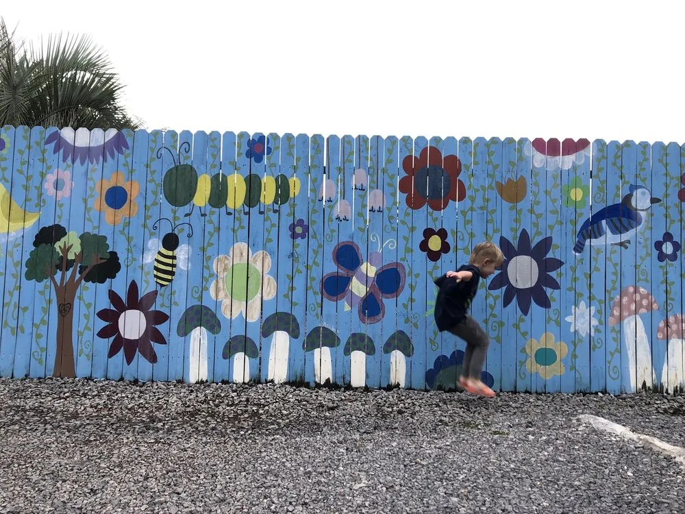 Affordable outdoor landscaping experts serving Summerville, SC - Flowertown Garden Center