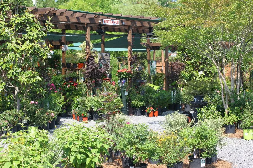 Expert lawn care service experts serving Summerville, SC - Flowertown Garden Center