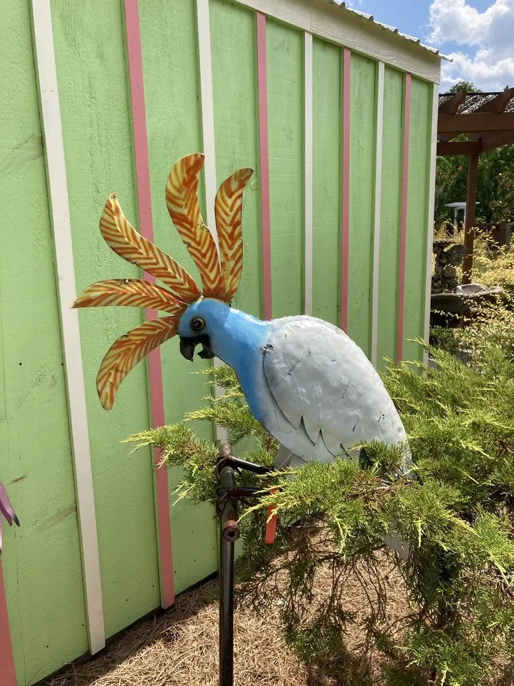 Expert lawn care service experts serving Summerville, SC - Flowertown Garden Center