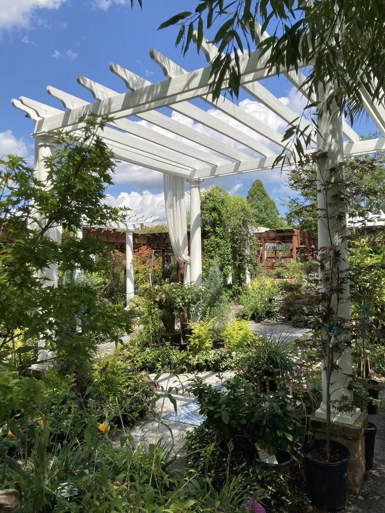 Reliable landscape installation experts serving Summerville, SC - Flowertown Garden Center