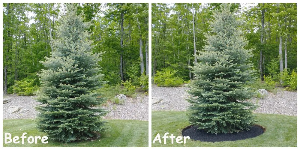 Professional yard cleanup service experts serving New Gloucester, ME - Flowscape Property Services