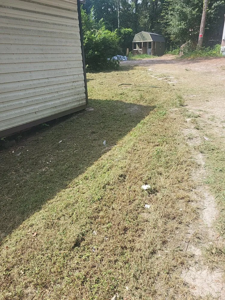 Local residential landscaping for beautiful yards across Florence, SC - Floyd Lawn and Trimming