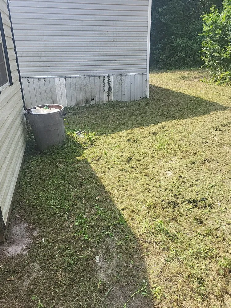 Professional yard cleanup service in Florence, SC - Floyd Lawn and Trimming