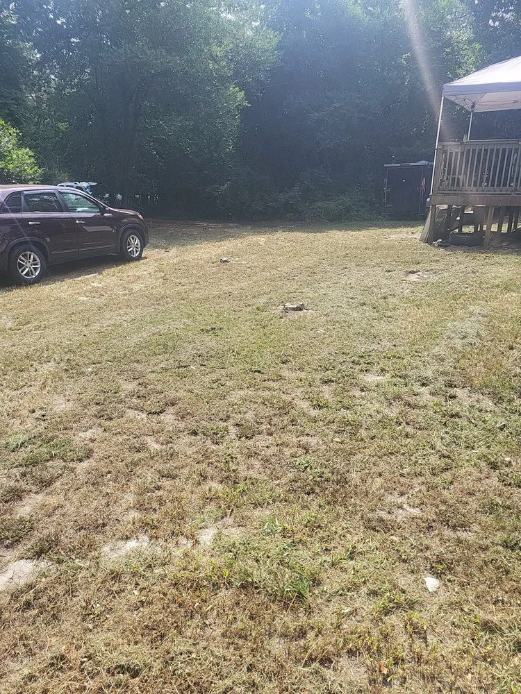 Affordable yard cleanup service near you across Florence, SC - Floyd Lawn and Trimming