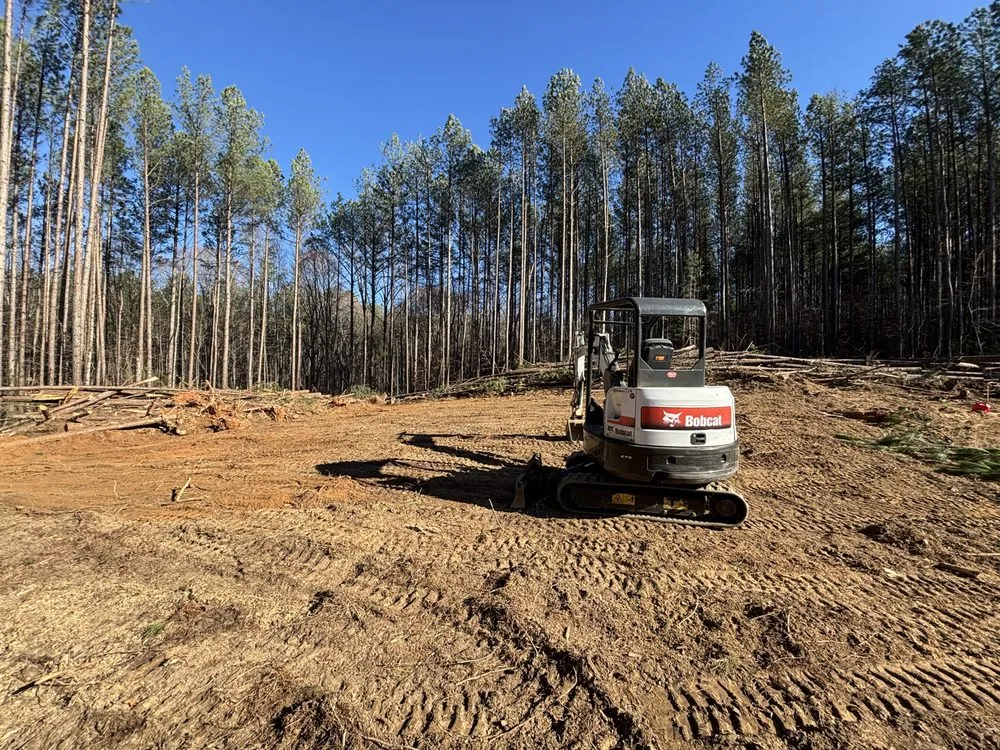 Local yard cleanup service in Rustburg, VA - Floyd Property Management