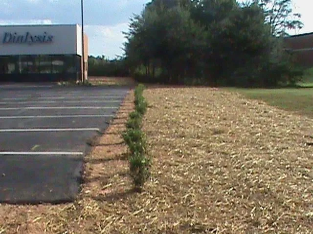 Professional landscape installation in Graham, NC - Floyd's Enterprise