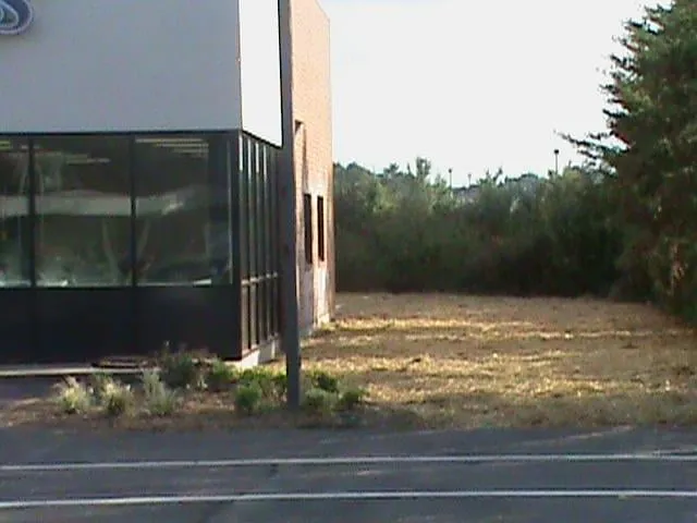 Professional outdoor landscaping for beautiful yards across Graham, NC - Floyd's Enterprise