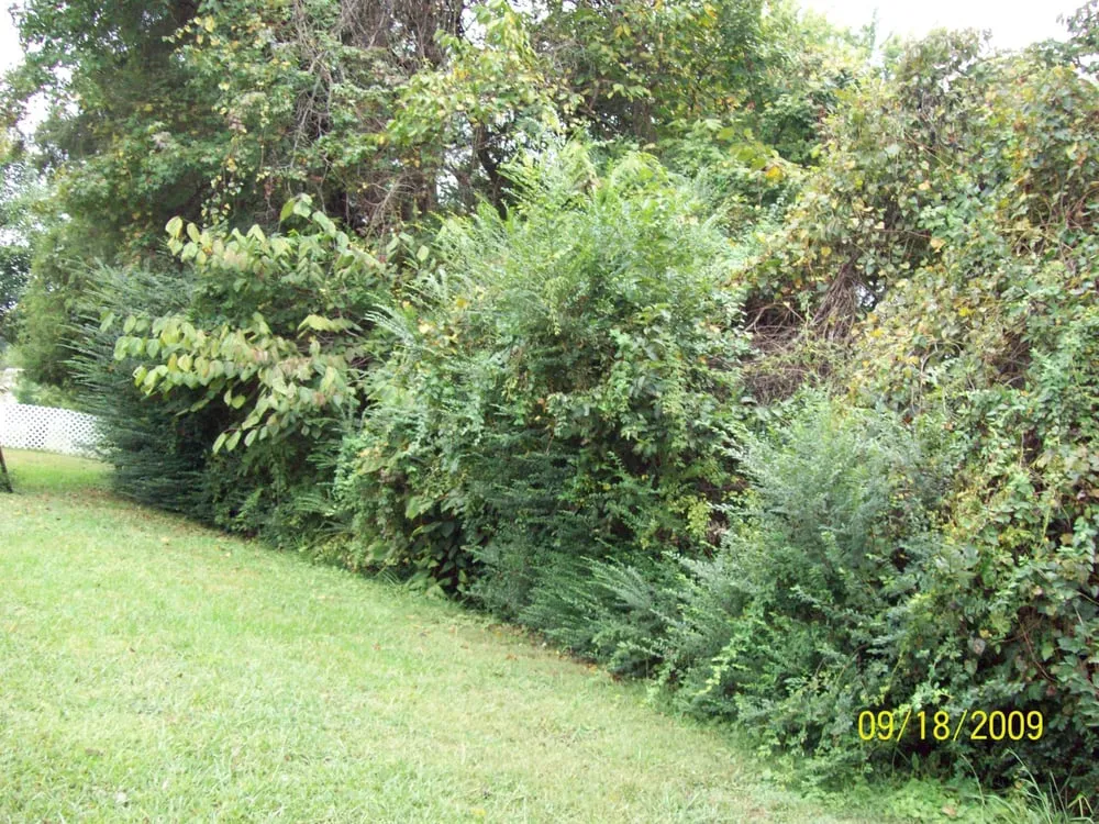 Professional lawn care service with custom design in Graham, NC by Floyd's Enterprise