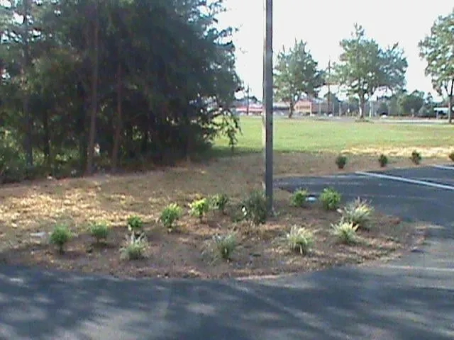 Trusted yard cleanup service for homes across Graham, NC - Floyd's Enterprise