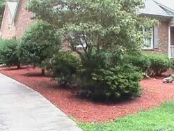Custom landscape installation experts serving Graham, NC - Floyd's Enterprise