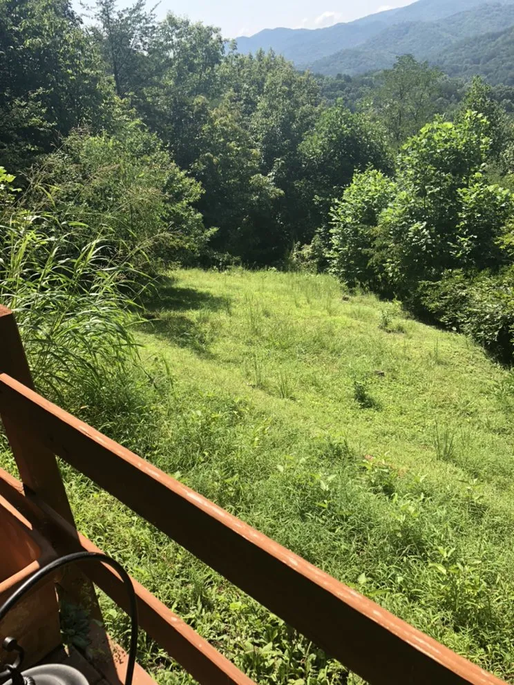 Top-rated residential landscaping in Mineral Bluff, GA - Floyd’s Handymen & lawn