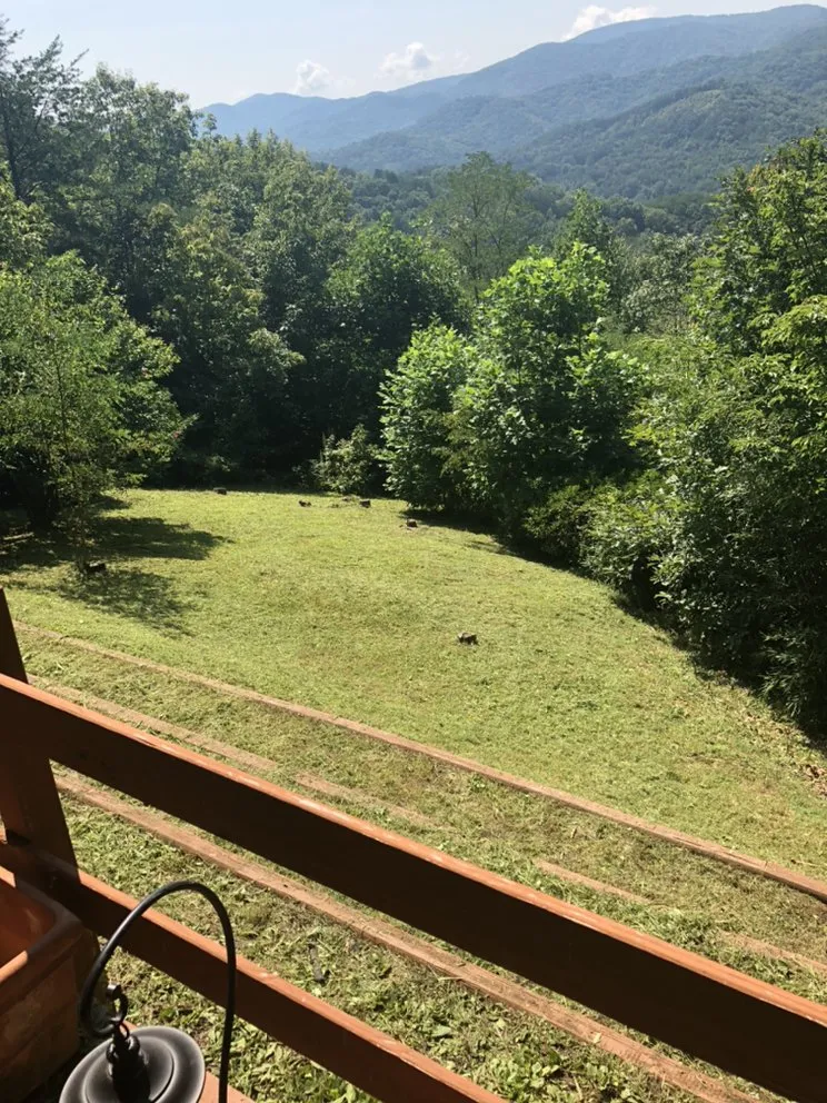 Professional residential landscaping experts serving Mineral Bluff, GA - Floyd’s Handymen & lawn