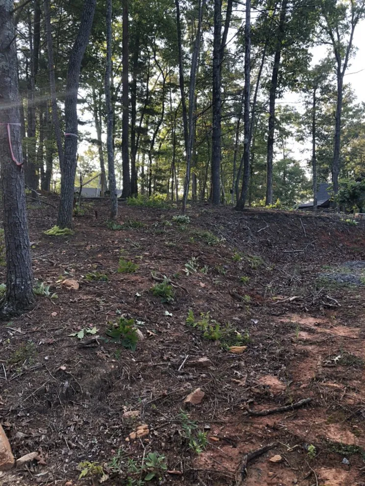 Custom residential landscaping in Mineral Bluff, GA - Floyd’s Handymen & lawn