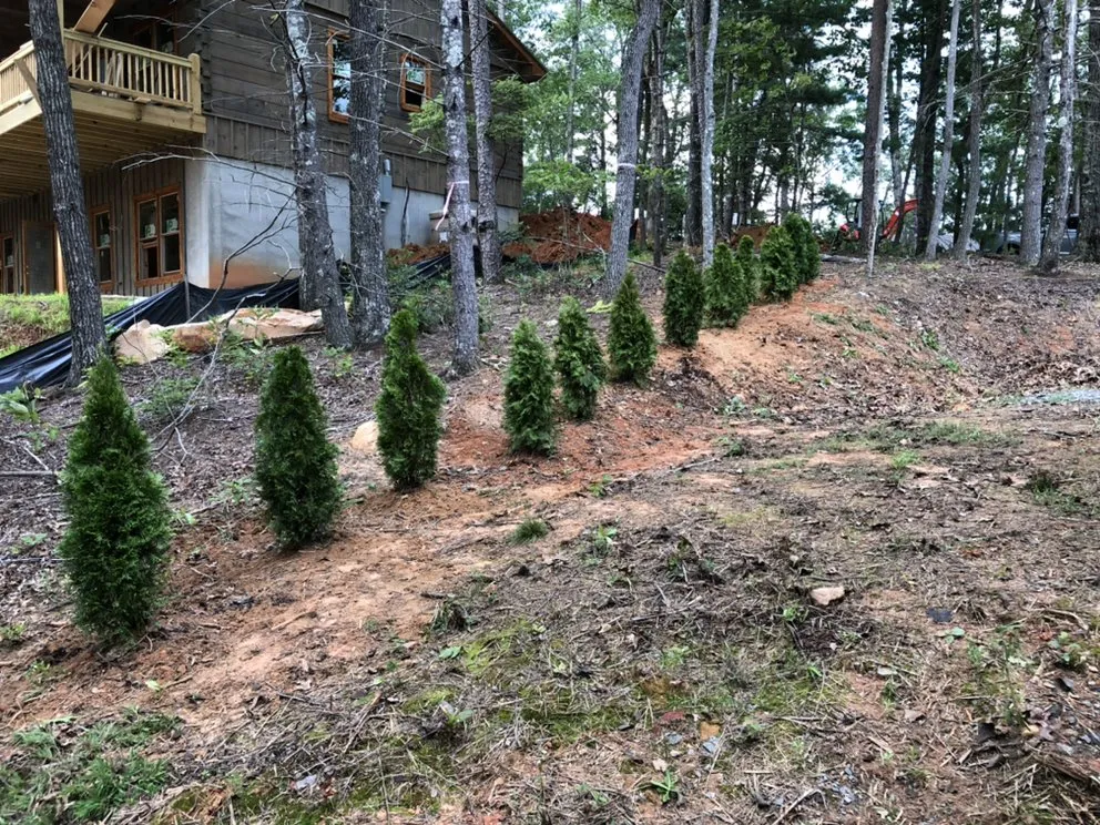 Top-rated lawn care service experts serving Mineral Bluff, GA - Floyd’s Handymen & lawn