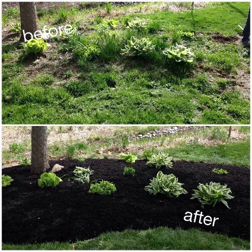Top-rated lawn mowing service for homes across East Earl, PA - Floyds Kingdom Landscape