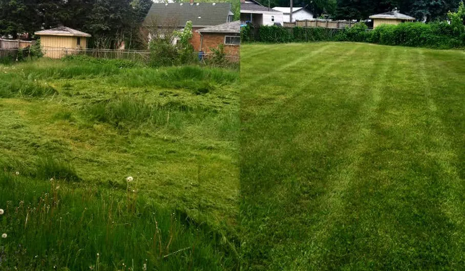 Trusted yard cleanup service for residential properties across East Earl, PA - Floyds Kingdom Landscape