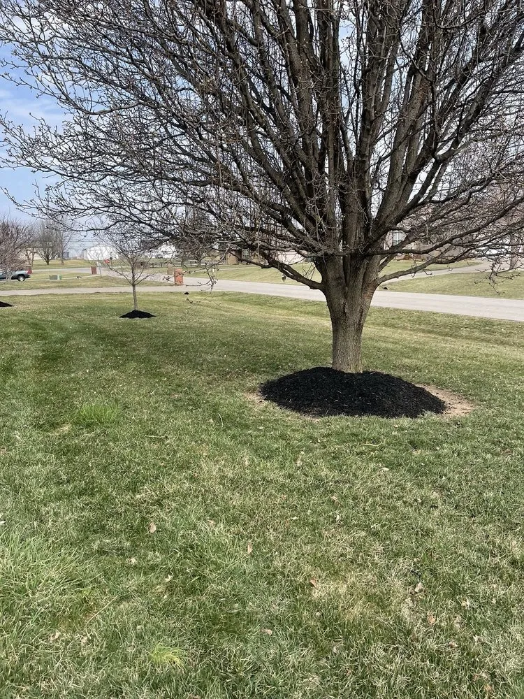 Affordable garden landscaping for residential properties in Shepherdsville, KY by Floyd’s Lawn Care