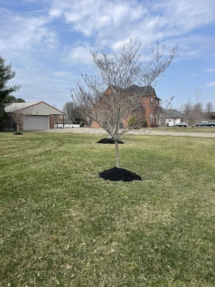 Expert yard maintenance in Shepherdsville, KY by Floyd’s Lawn Care