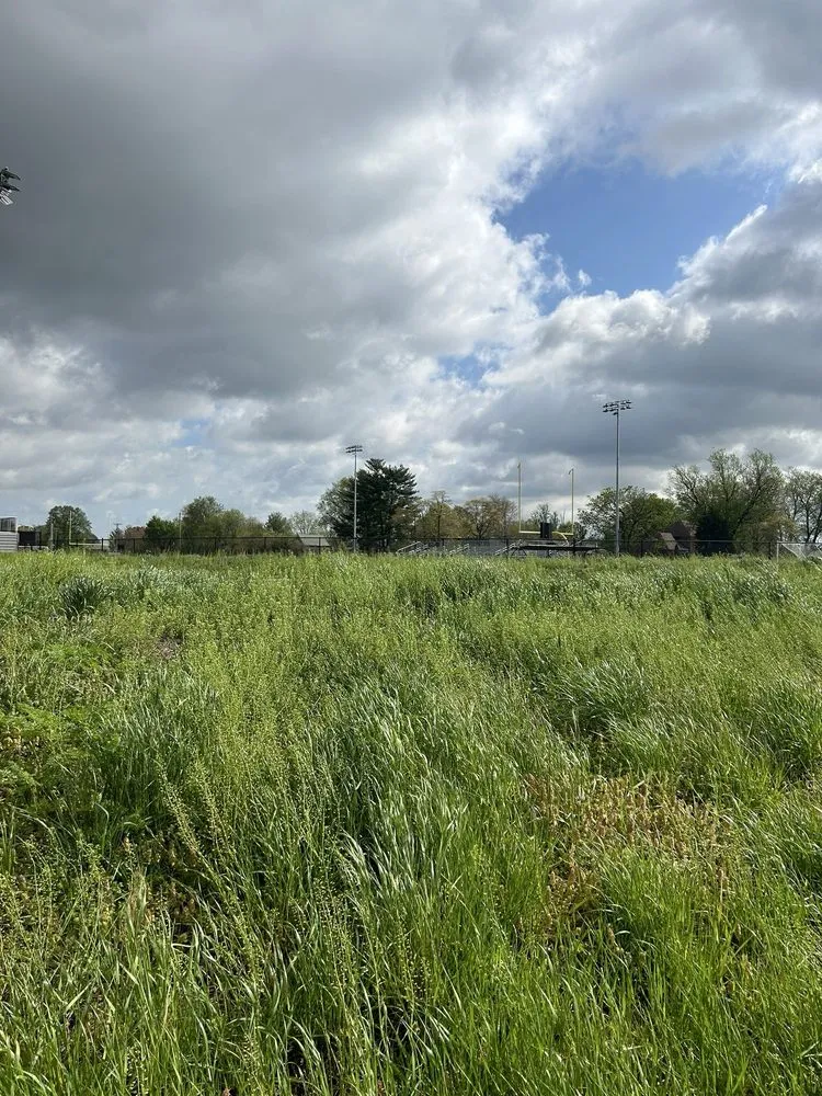 Top-rated lawn care service for outdoor upgrades in Shepherdsville, KY by Floyd’s Lawn Care