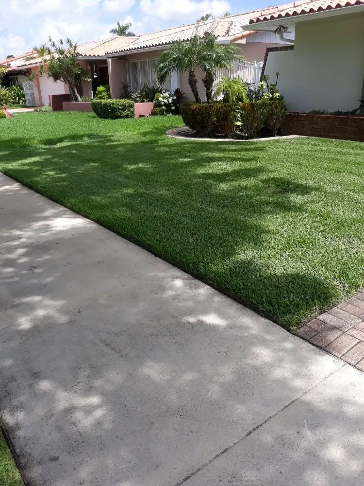 Trusted landscape installation in Hialeah, FL by F.L.S.Lawn Services