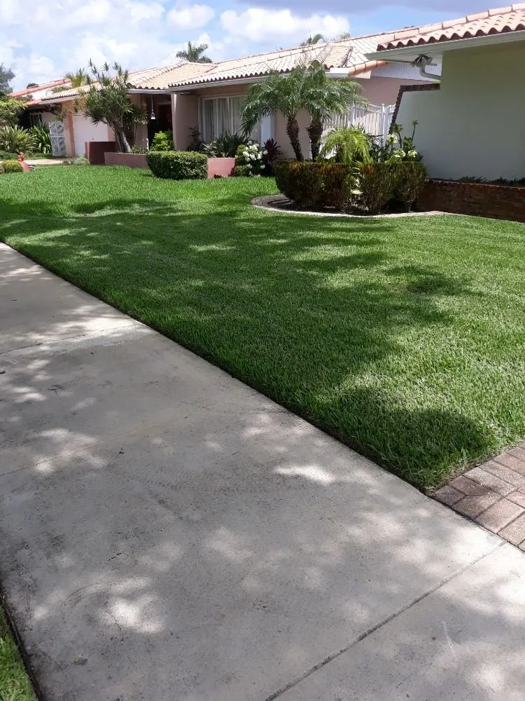 Expert yard cleanup service for homes across Hialeah, FL - F.L.S.Lawn Services