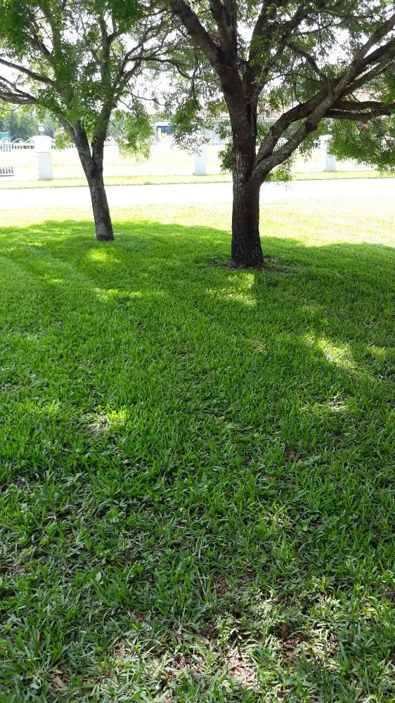 Top-rated landscaping services in Hialeah, FL by F.L.S.Lawn Services