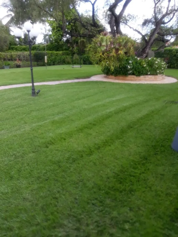 Expert lawn mowing service in Hialeah, FL - F.L.S.Lawn Services
