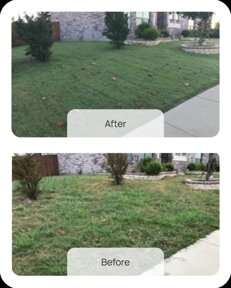 Custom lawn mowing service in Plano, IL by Fluffy Fox Landscaping