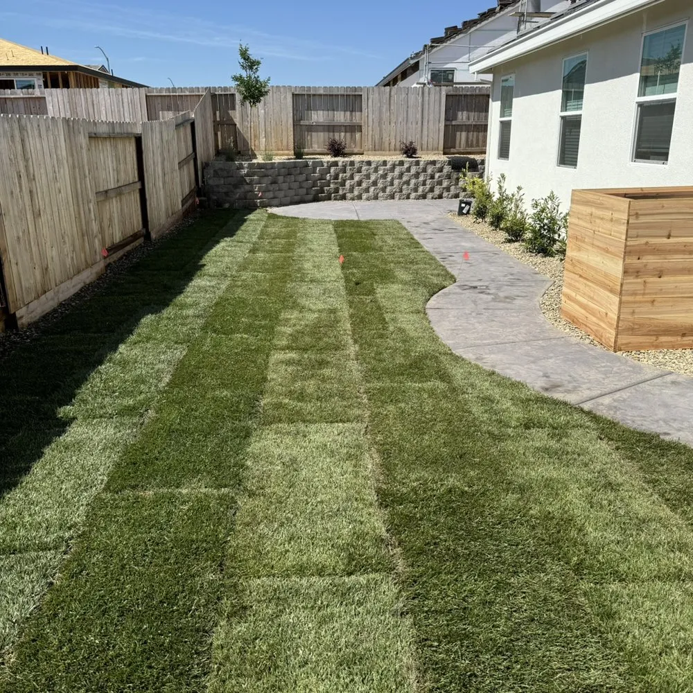 Trusted yard cleanup service experts serving Stockton, CA - Fluorescent Landscapes