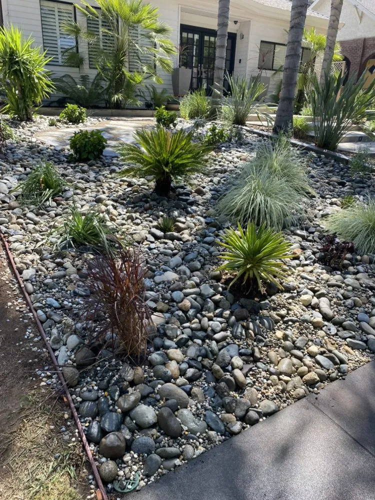 Expert yard cleanup service with custom design in Stockton, CA by Fluorescent Landscapes