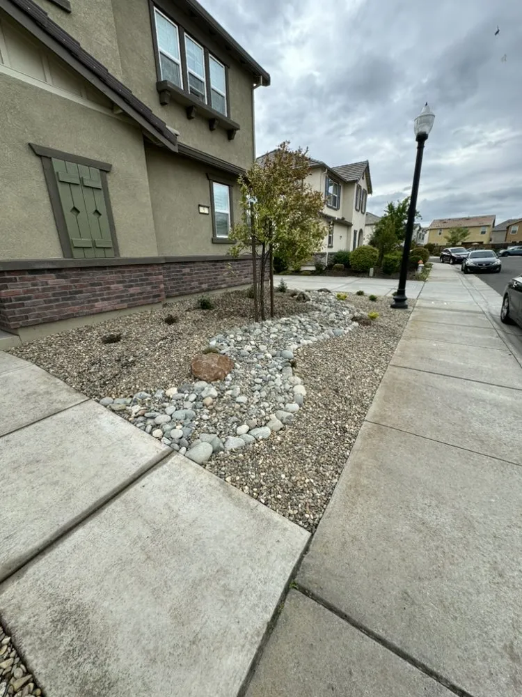 Top-rated landscape installation for residential properties across Stockton, CA - Fluorescent Landscapes
