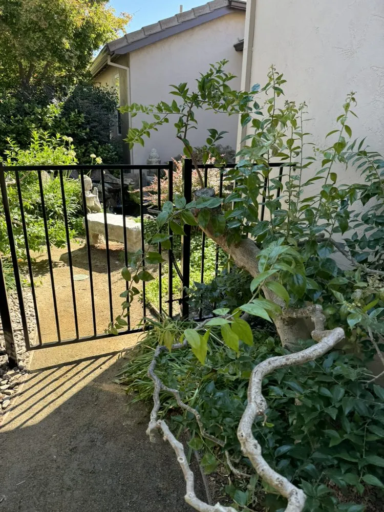 Professional outdoor landscaping in Stockton, CA - Fluorescent Landscapes