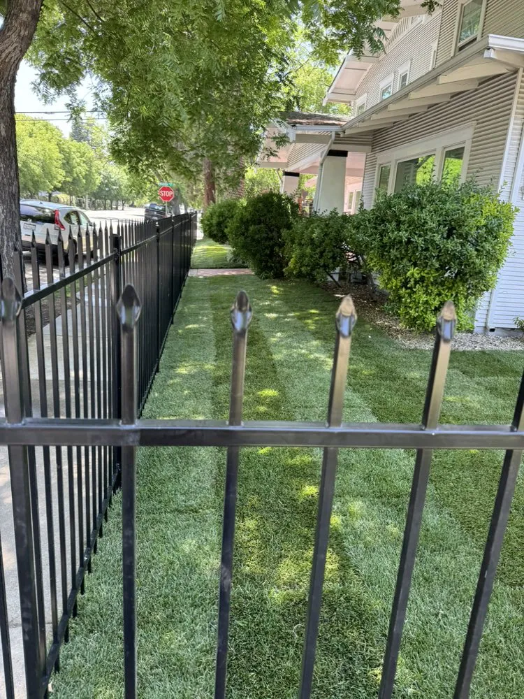 Affordable yard cleanup service experts serving Stockton, CA - Fluorescent Landscapes