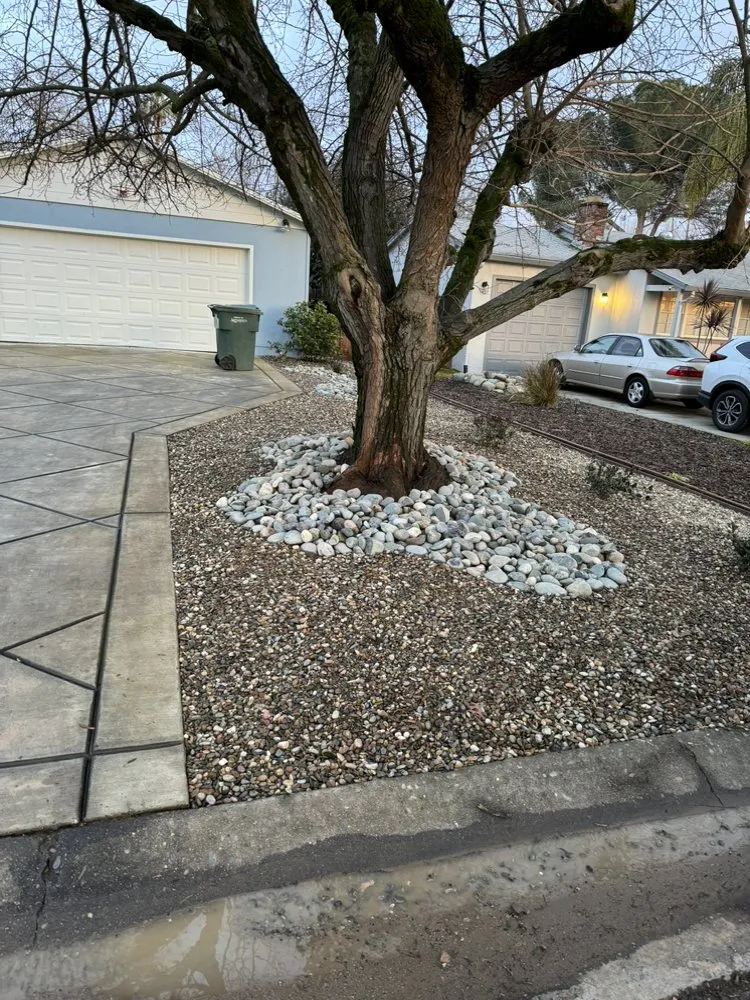 Expert yard maintenance in Stockton, CA by Fluorescent Landscapes