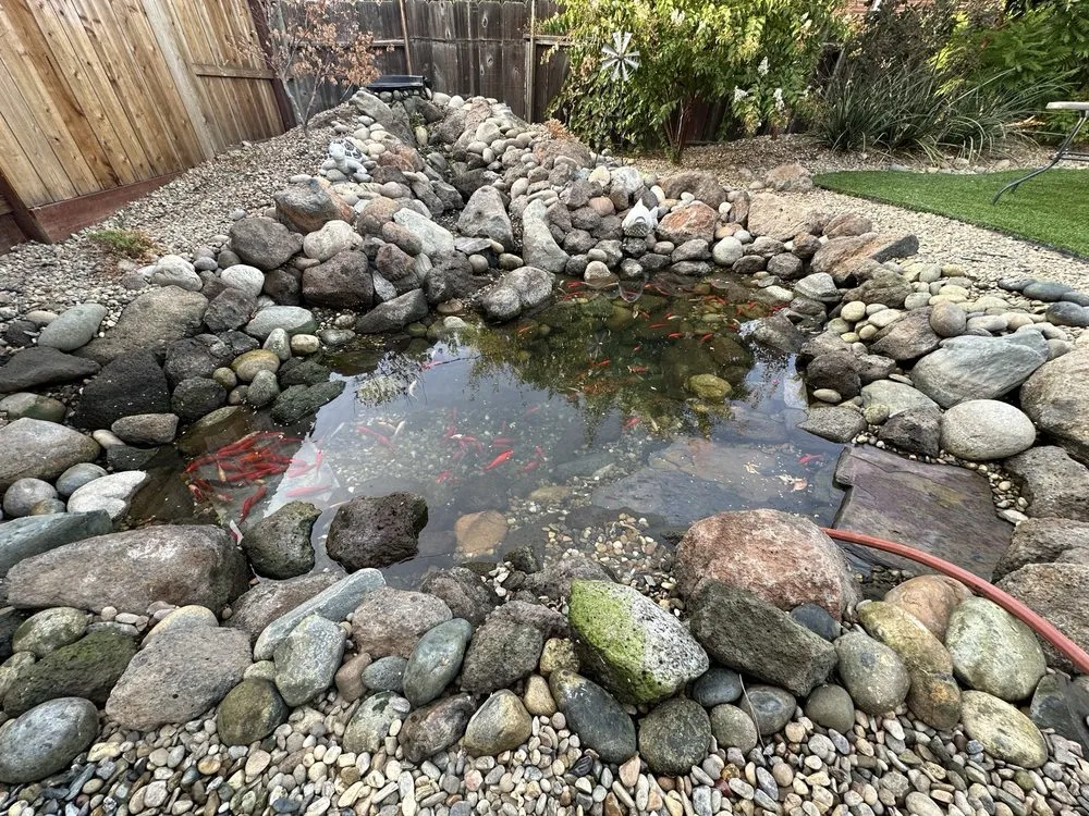 Expert yard cleanup service for beautiful yards in Stockton, CA by Fluorescent Landscapes