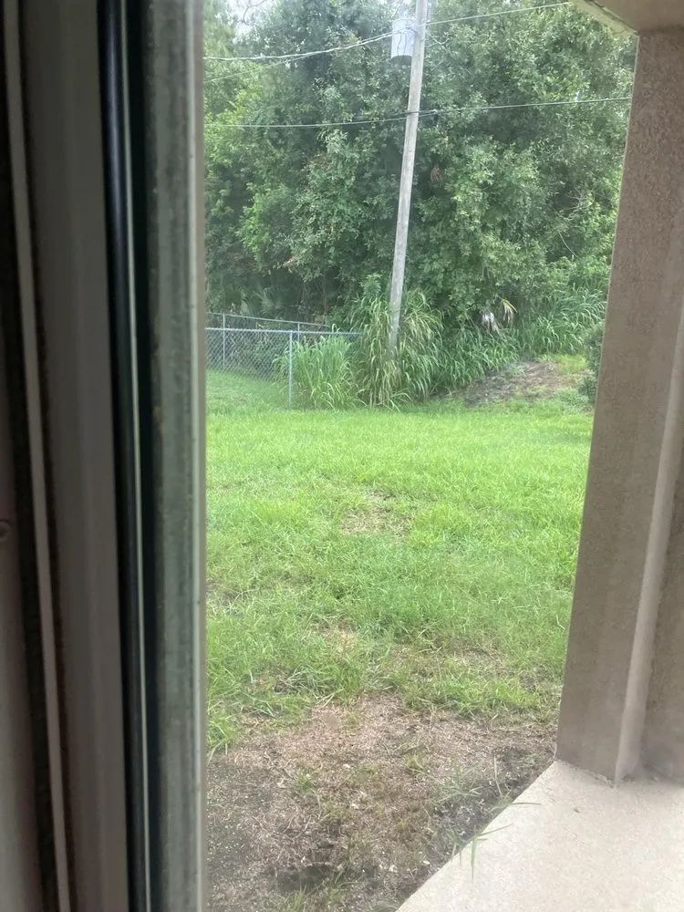 Local yard maintenance experts serving Palm Bay, FL - Fluorescent Lawn Care