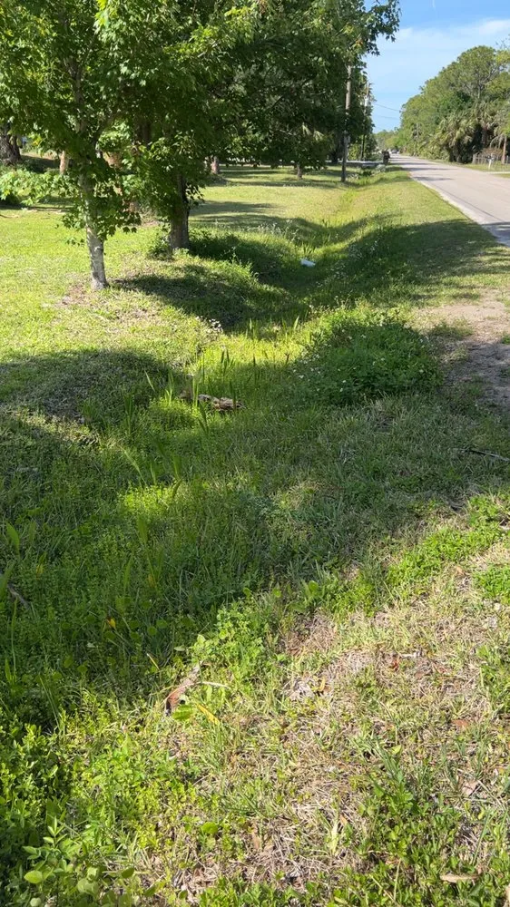 Affordable yard cleanup service in Palm Bay, FL by Fluorescent Lawn Care