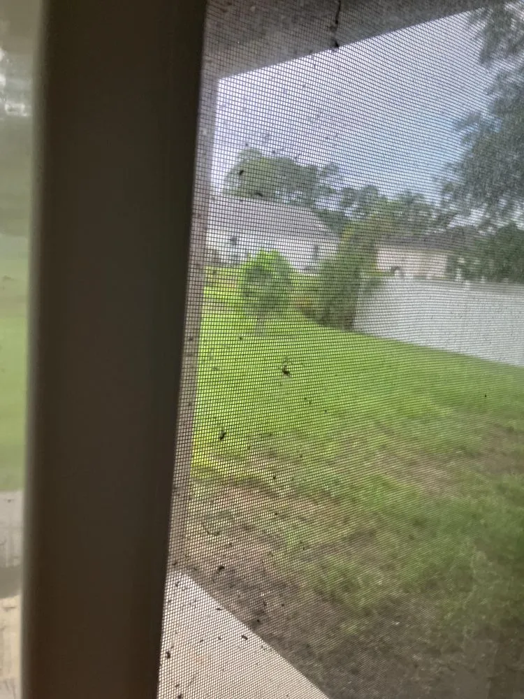 Local garden landscaping in Palm Bay, FL by Fluorescent Lawn Care