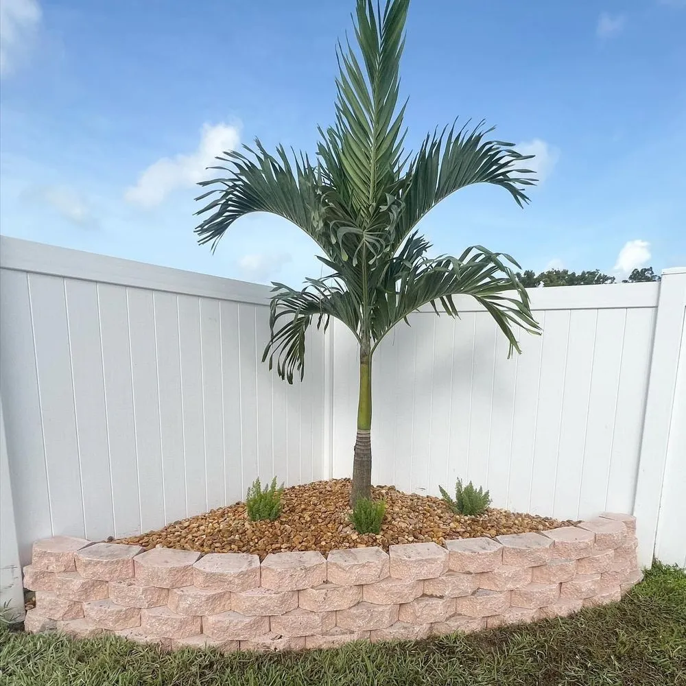 Expert lawn care service near you in Palm Bay, FL by Fluorescent Lawn Care