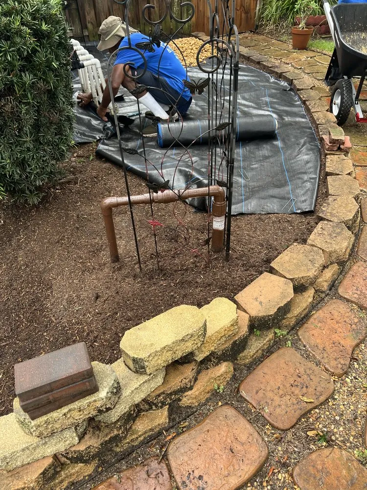 Affordable lawn care service in Palm Bay, FL by Fluorescent Lawn Care