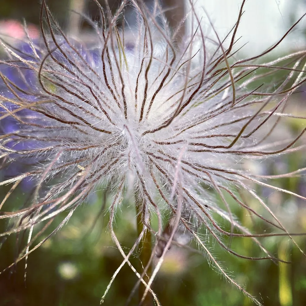 Custom landscaping services for outdoor upgrades in Boise, ID by Flutterby Gardens Landscaping