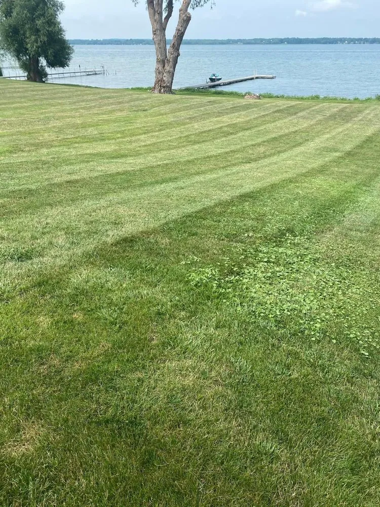 Professional yard maintenance in Clifton Springs, NY - FLX Gutters & Lawn Care