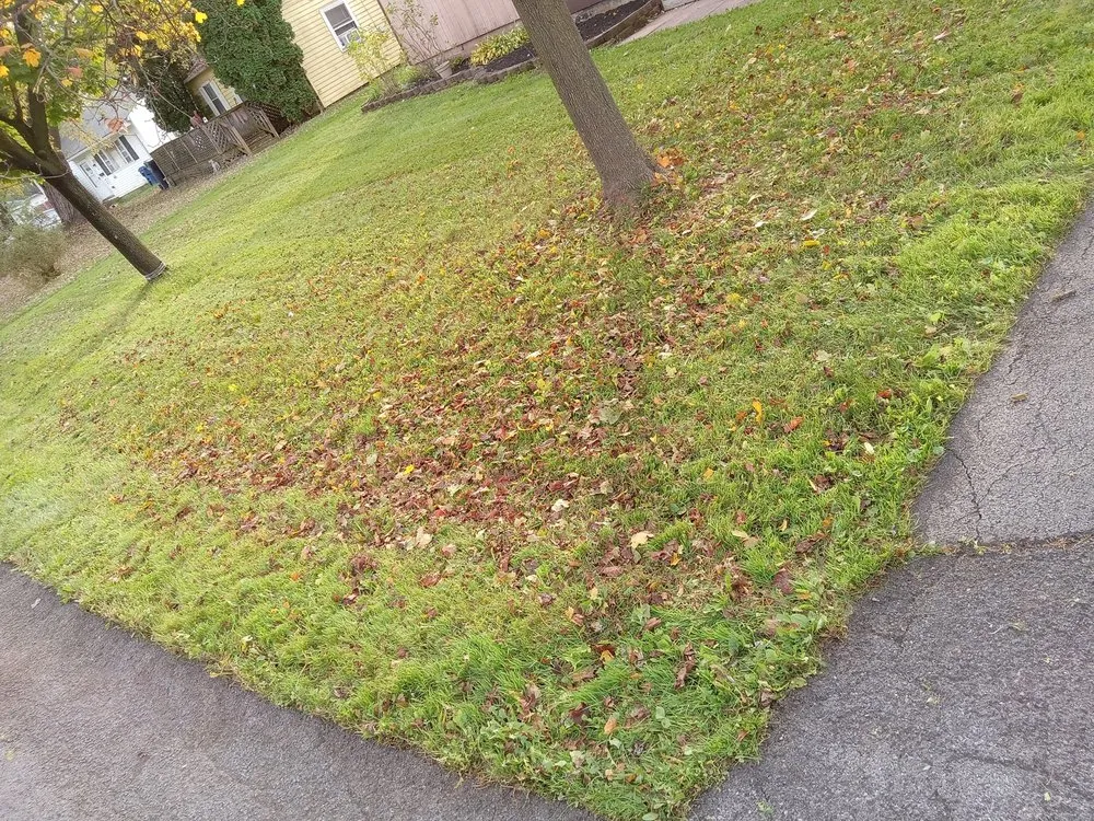 Expert garden landscaping experts serving Waterloo, NY - FLX Lawncare and Hardscapes