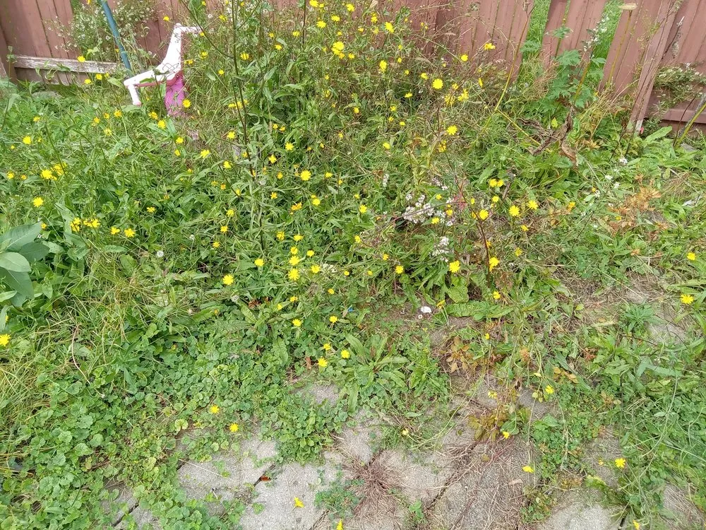 Custom residential landscaping in Waterloo, NY by FLX Lawncare and Hardscapes