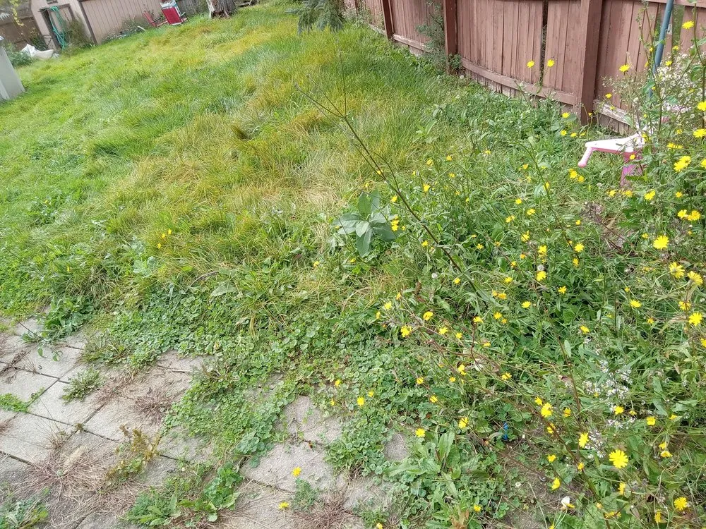 Trusted residential landscaping experts serving Waterloo, NY - FLX Lawncare and Hardscapes