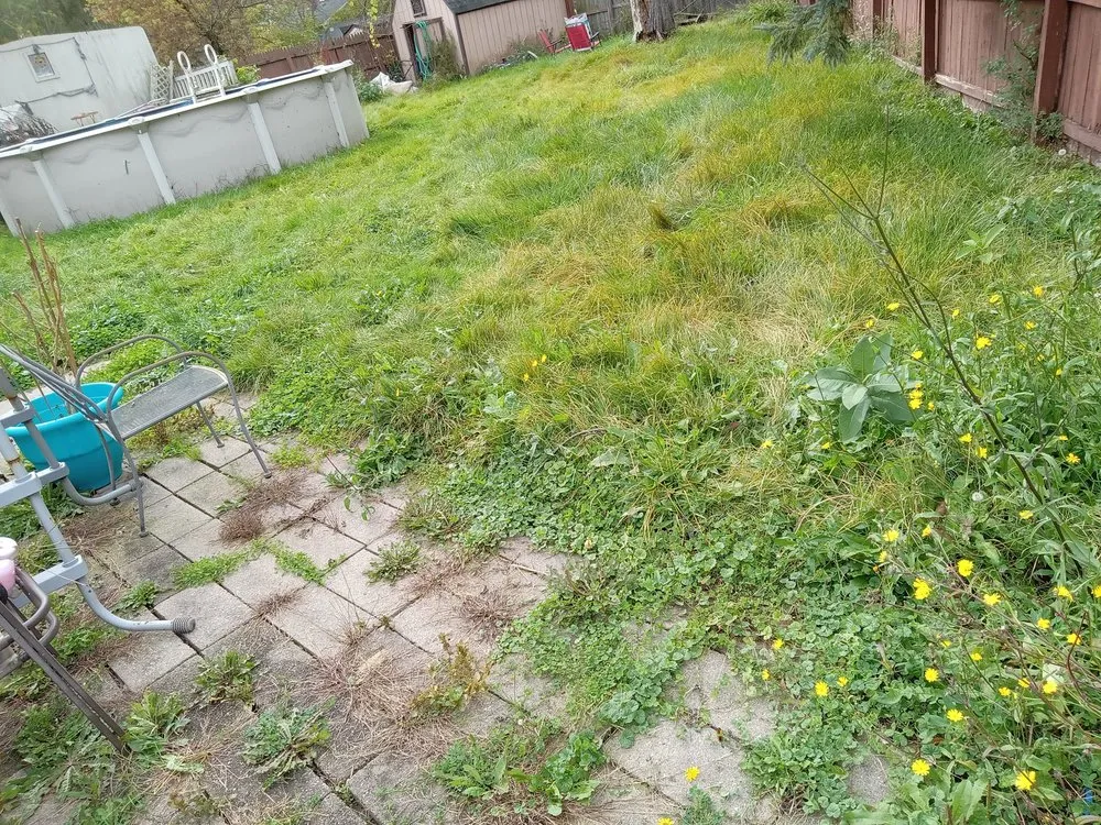 Custom landscape design for homes in Waterloo, NY by FLX Lawncare and Hardscapes